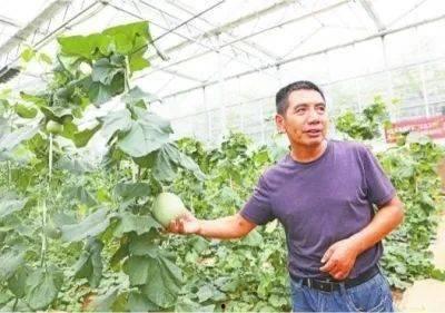 武汉江夏吃瓜事件视频,一场网络热议的社区冲突揭秘
