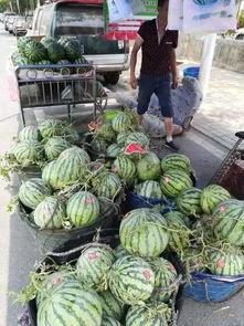 乐都吃瓜事件真相最新,揭秘背后真相与反思