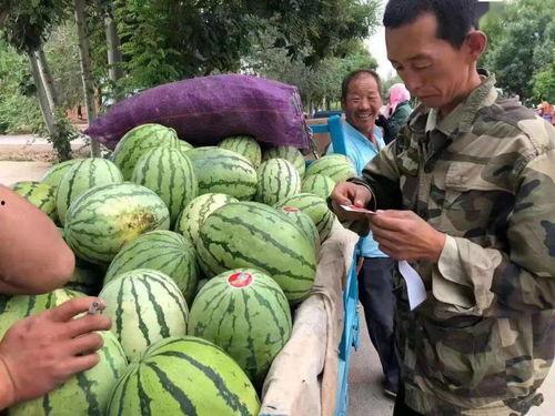 金昌市吃瓜事件真相