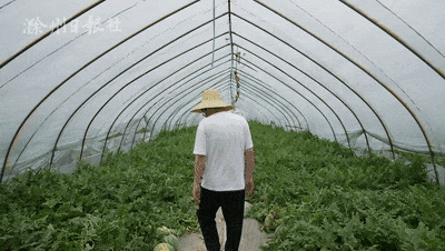 滁州最新吃瓜事件,揭秘网络热议背后的真相